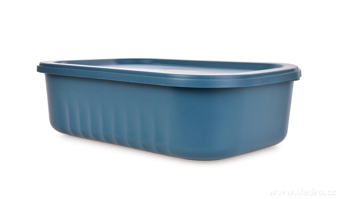 Műanyag tároló doboz tetővel 2 l - Kék
